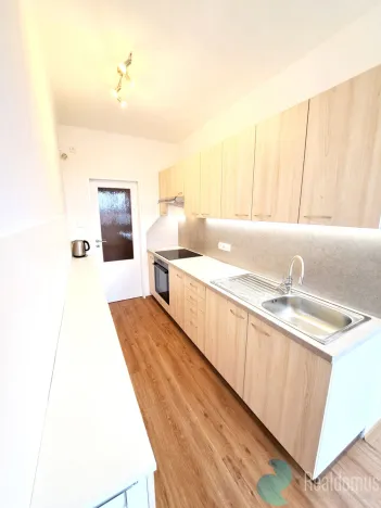 Pronájem bytu 1+1, České Budějovice, Kubatova, 50 m2