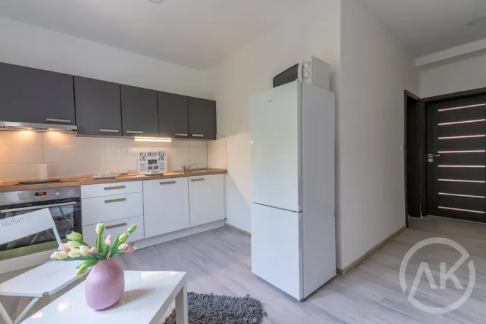 Pronájem bytu 2+1, Ostrava - Vítkovice, Erbenova, 51 m2