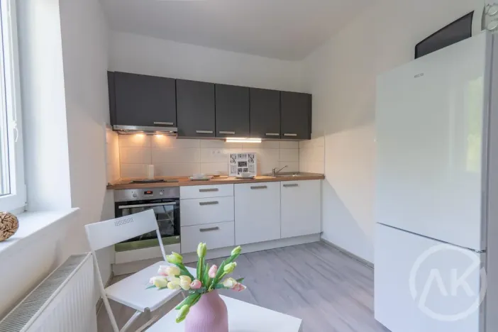 Pronájem bytu 2+1, Ostrava - Vítkovice, Erbenova, 51 m2