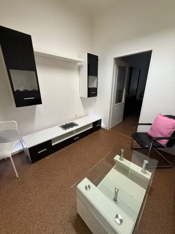 Pronájem bytu 2+kk, Plzeň - Východní Předměstí, Koterovská, 70 m2