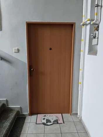 Pronájem bytu 2+kk, Plzeň - Východní Předměstí, Koterovská, 70 m2