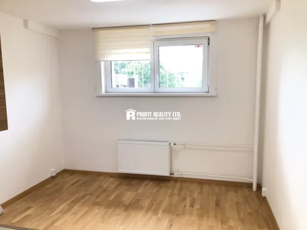 Pronájem bytu 1+kk, Praha - Krč, Štúrova, 20 m2