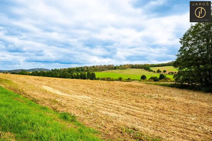 Prodej pozemku pro bydlení, Klatovy - Kydliny, 4431 m2