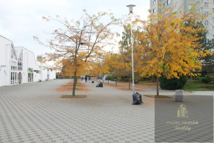 Pronájem obchodního prostoru, Plzeň - Skvrňany, Karla Steinera, 9 m2