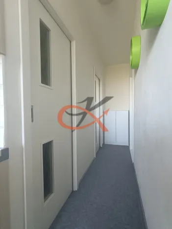 Prodej bytu 3+1, Hranice, Nová, 71 m2