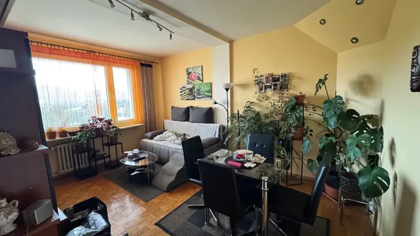 Pronájem bytu 2+1, Liberec, Třešňová, 50 m2