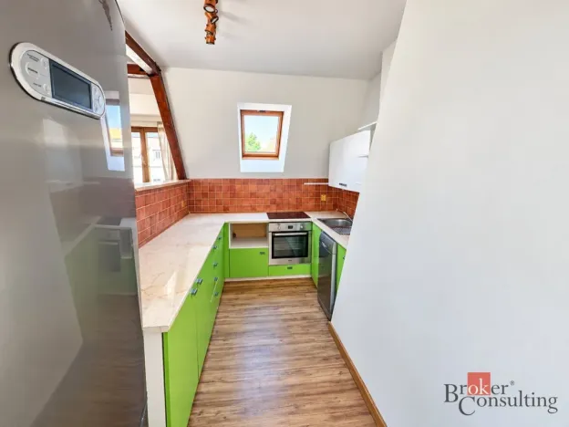 Prodej bytu 4+kk, Litvínov - Horní Litvínov, Podkrušnohorská, 165 m2