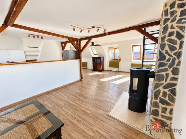 Prodej bytu 4+kk, Litvínov - Horní Litvínov, Podkrušnohorská, 165 m2