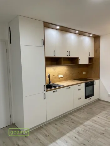 Pronájem bytu 1+kk, Slaný - Kvíček, K. H. Borovského, 45 m2