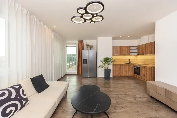 Prodej bytu 2+kk, Plzeň, U Velkého rybníka, 80 m2