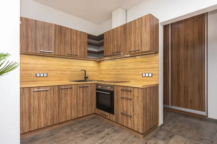 Prodej bytu 2+kk, Plzeň, U Velkého rybníka, 80 m2