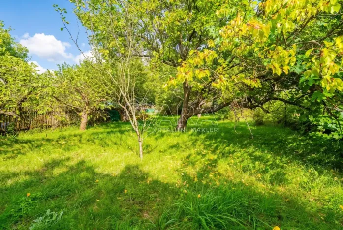 Prodej rodinného domu, Bukovany, 279 m2