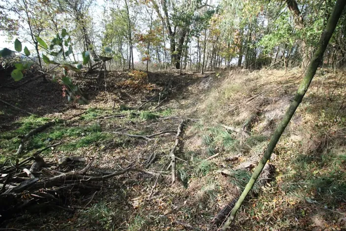 Prodej pozemku, Dolní Břežany, Keltská, 3508 m2