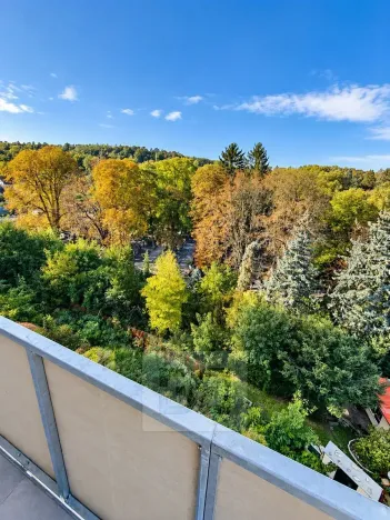 Pronájem bytu 2+kk, Kladno, Lesík, 55 m2
