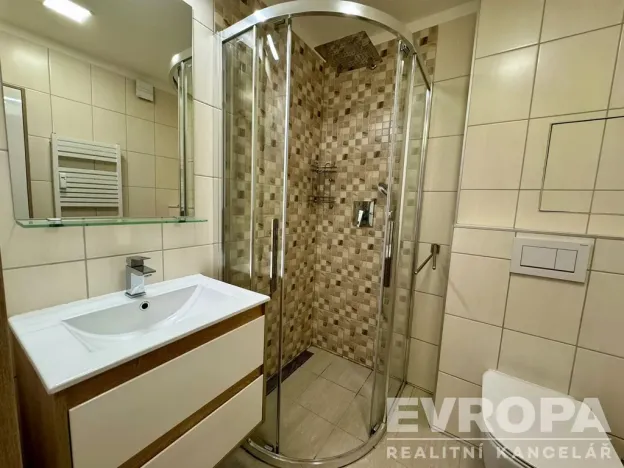 Pronájem bytu 1+1, Plzeň - Jižní Předměstí, Raisova, 30 m2