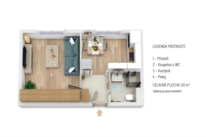 Pronájem bytu 1+1, Plzeň - Jižní Předměstí, Raisova, 30 m2