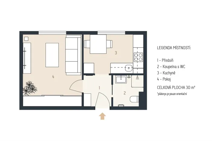 Pronájem bytu 1+1, Plzeň - Jižní Předměstí, Raisova, 30 m2