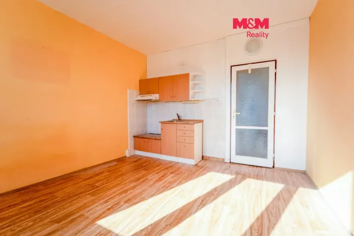 Prodej bytu 1+kk, Plzeň - Lobzy, Pod Vrchem, 20 m2
