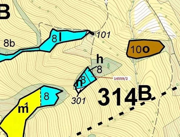 Dražba lesa, Hovězí, 605 m2