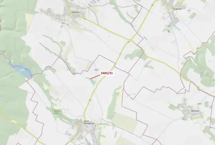 Dražba lesa, Horní Dunajovice, 263 m2