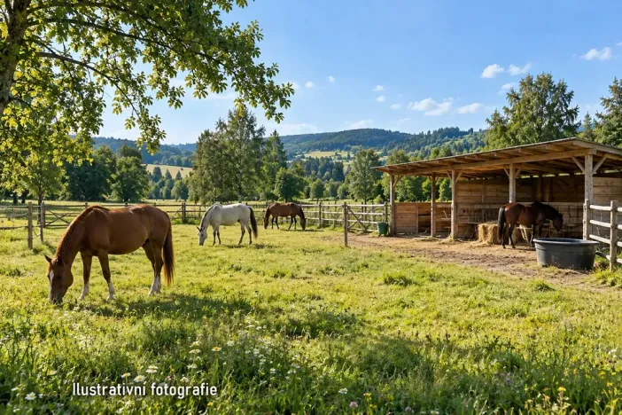 Prodej komerčního pozemku, Bystřice, 22458 m2