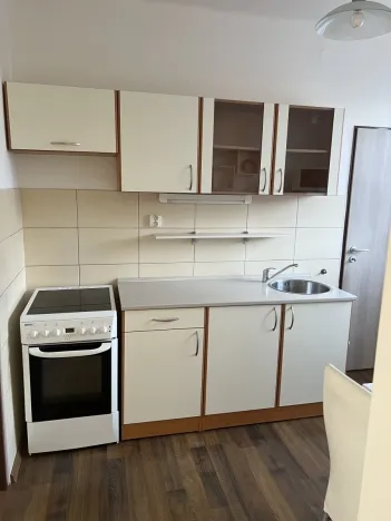 Pronájem bytu 3+1, Plzeň - Východní Předměstí, U Prazdroje, 69 m2