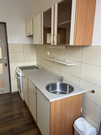 Pronájem bytu 3+1, Plzeň - Východní Předměstí, U Prazdroje, 69 m2