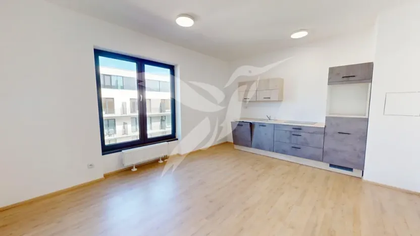 Pronájem bytu 1+kk, Plzeň, Železná, 30 m2