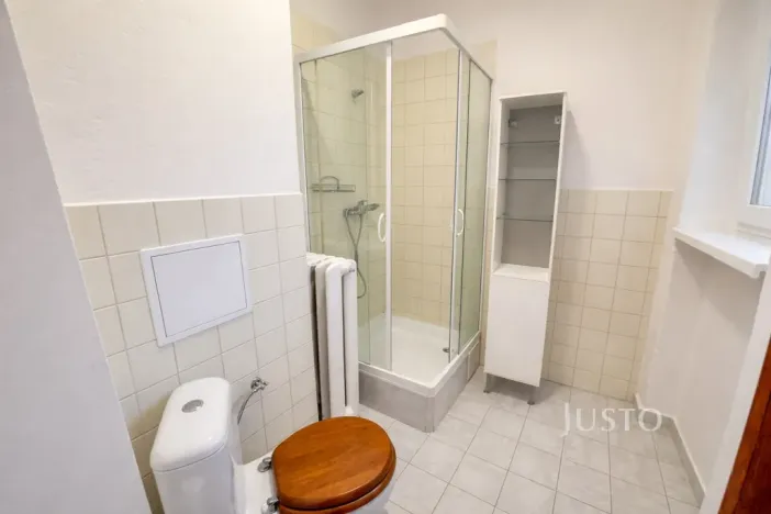Prodej bytu 1+1, Ústí nad Labem - Klíše, Palachova, 47 m2