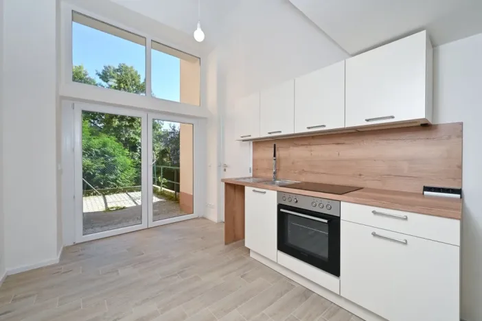 Pronájem bytu 1+kk, Brno - Veveří, Mášova, 22 m2