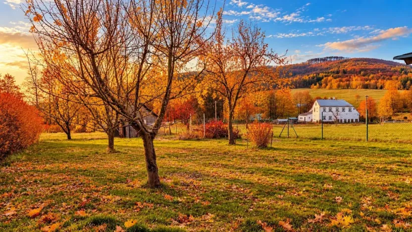 Prodej pozemku pro bydlení, Dolní Podluží, 1607 m2
