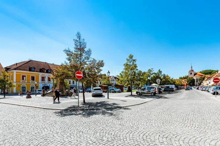 Pronájem bytu 4+kk, Beroun - Beroun-Centrum, Česká, 230 m2