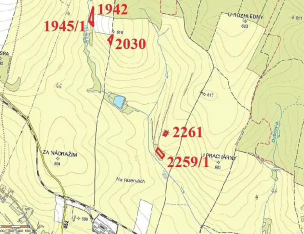 Prodej lesa, Staré Město, 11219 m2