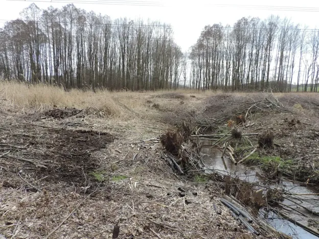 Prodej rybníku, Brniště, 486 m2