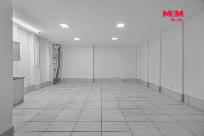 Prodej obchodního prostoru, Praha, Vlkova, 48 m2
