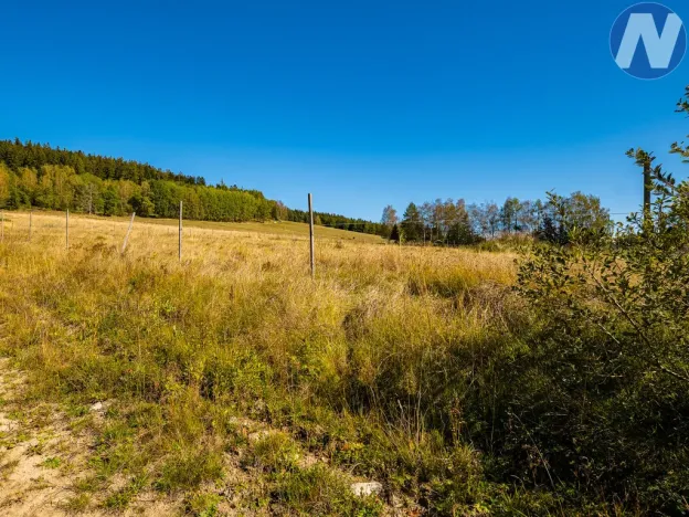 Prodej pozemku pro bydlení, Horní Planá, 3307 m2