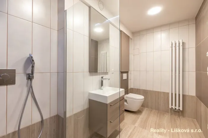 Pronájem atypického bytu, Ústí nad Labem, Bělehradská, 56 m2