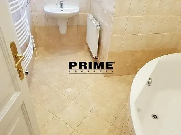 Pronájem bytu 2+1, Praha - Nové Město, Záhořanského, 124 m2