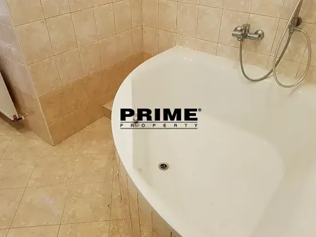 Pronájem bytu 2+1, Praha - Nové Město, Záhořanského, 124 m2
