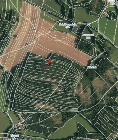 Prodej lesa, Strmilov, 2392 m2