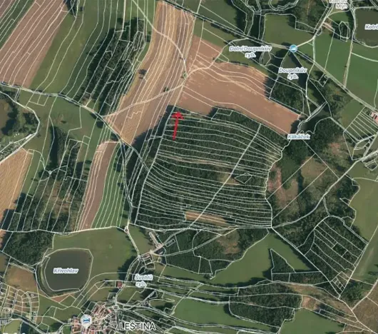 Prodej lesa, Strmilov, 1644 m2