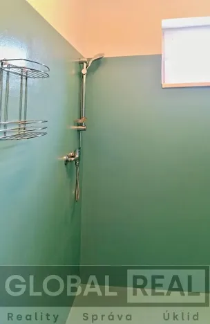 Pronájem ubytování, Pavlínov, 310 m2