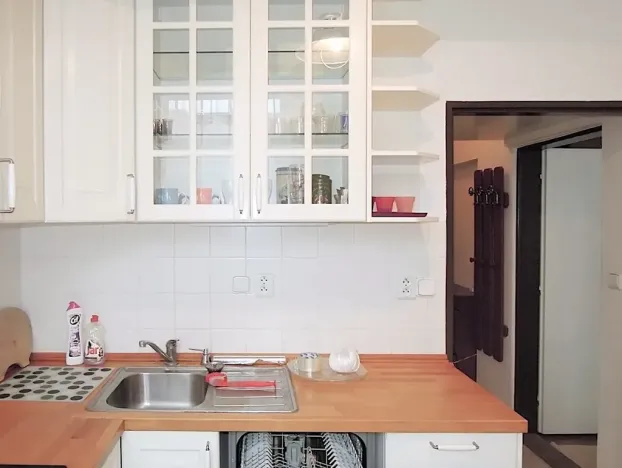 Pronájem bytu 1+1, Brno, Gorkého, 40 m2