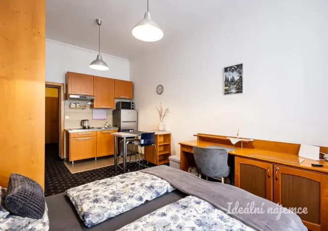 Pronájem bytu 1+kk, Praha - Nusle, Slavojova, 26 m2