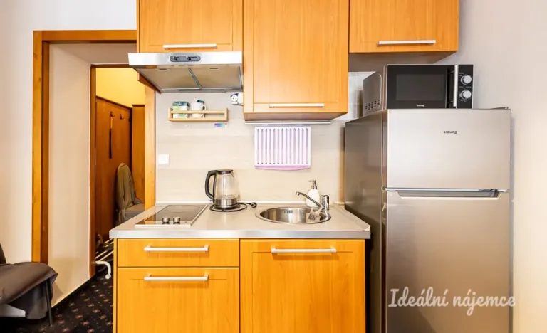 Pronájem bytu 1+kk, Praha - Nusle, Slavojova, 26 m2