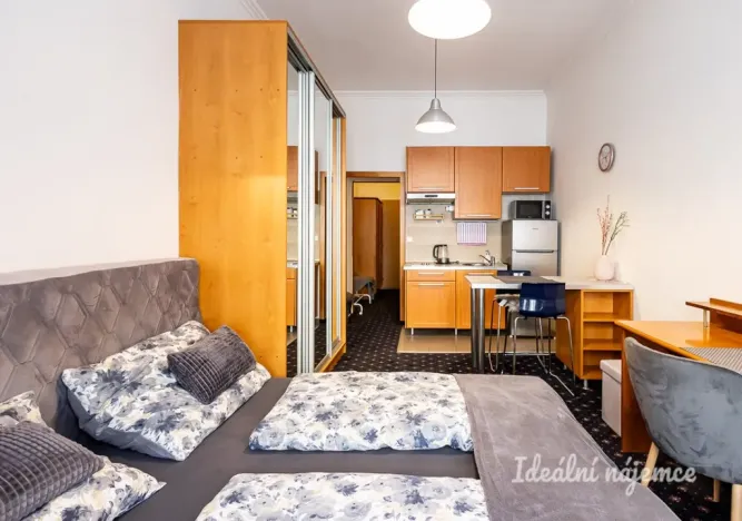 Pronájem bytu 1+kk, Praha - Nusle, Slavojova, 26 m2