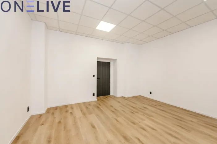 Pronájem kanceláře, Plzeň, Tylova, 22 m2