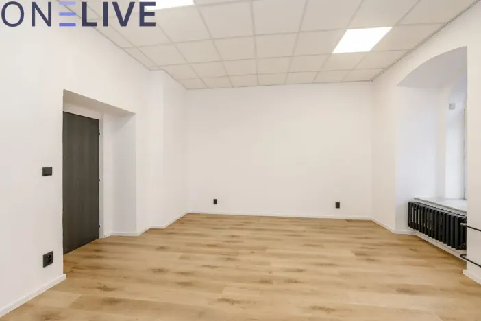 Pronájem kanceláře, Plzeň, Tylova, 22 m2