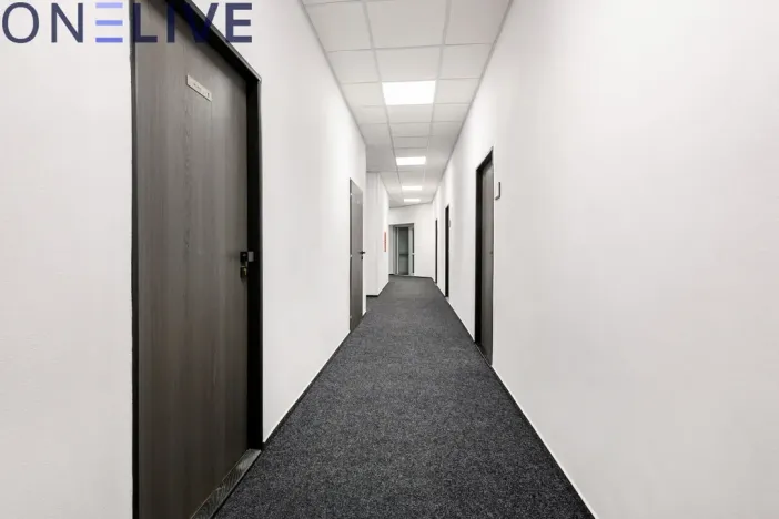 Pronájem kanceláře, Plzeň, Tylova, 22 m2