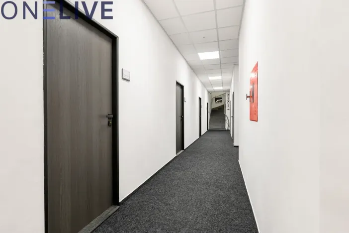 Pronájem kanceláře, Plzeň, Skrétova, 22 m2